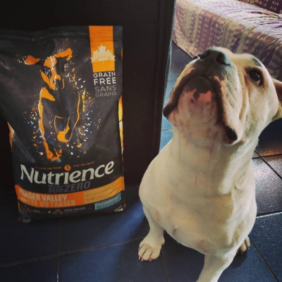 Thức Ăn Hạt Cho Chó - Nutrience Subzero Bao 500g - (Có Hạt Khô & Hạt Thịt) Thịt Gà, 3 Loại Cá Biển, Rau Củ Quả, Trái Cây