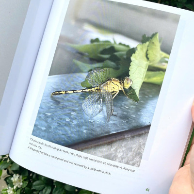 (Sách Song Ngữ) KHÁM PHÁ VIỆT NAM XANH: LINH HỒN CÁNH MỎNG – Chạm Vào Vẻ Đẹp Mong Manh Của Những Sinh Linh Nhỏ Bé - Phạm Thanh Kiều Trang - Alpha Books