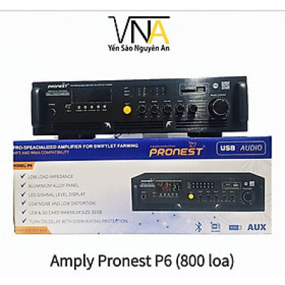 Amply Pronest P6 (800 loa)