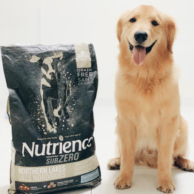 Thức Ăn Hạt Cho Chó - Nutrience Subzero Bao 2,27kg (Da Lông Bóng Mượt) - Thịt Bò, Cá Hồi, Rau Củ Quả, Trái Cây