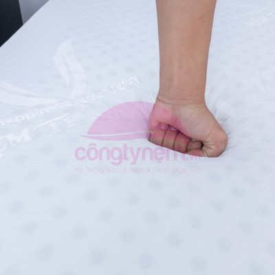 Nệm cao su TL Wonder foam phẳng