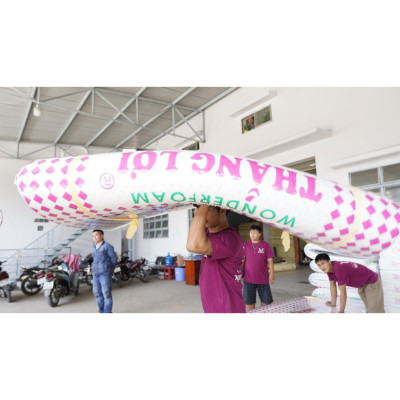 Nệm Cao Su Foam, Nệm Thắng Lợi WonderFoam Cho Người Bị Đau Lưng