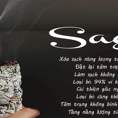 Combo 1 thanh palo santo và 1 bó xô bạch đàn thanh tẩy nhà cửa (Combo số 16)