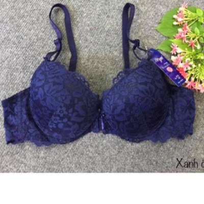 ÁO NGỰC REN MÚT ÉP VỪA-029L