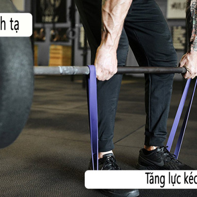 Dây kháng lực tập gym cao su tự nhiên, mức lực kéo phân theo từng màu, tiện lợi mang theo bất cứ đâu, Dây kháng lực Power Band đa năng, hỗ trợ luyện tập thể dục, tiện lợi tại nhà, văn phòng - Chính hãng dododios
