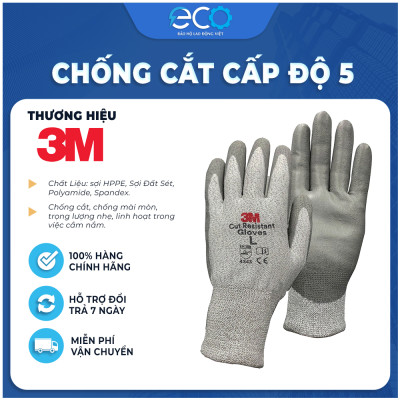Combo Kính bảo hộ Delta Plus và găng tay chống cắt 3M cấp độ 5