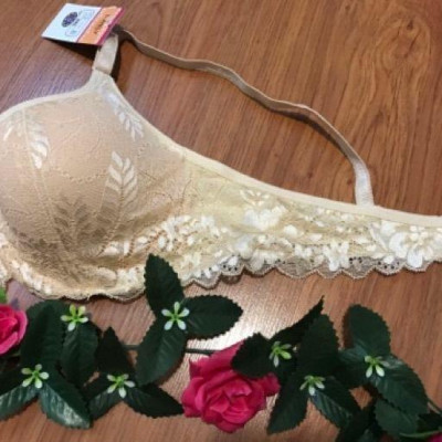 Áo lót ren đệm mỏng có gọng cao cấp xuất nhật, áo ngực ren đệm mỏng có gọng cao cấp xuất nhật