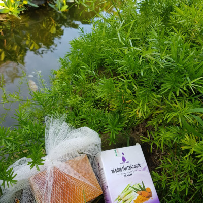 Xà Bông Thảo Dược Hương Thiền