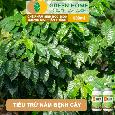 Chế Phẩm Sinh Học Bacte Bios Sương Mai Phấn Trắng, Green Home, Chai 500ml, Từ Thảo Mộc, Hiệu Lực Nhanh Mạnh
