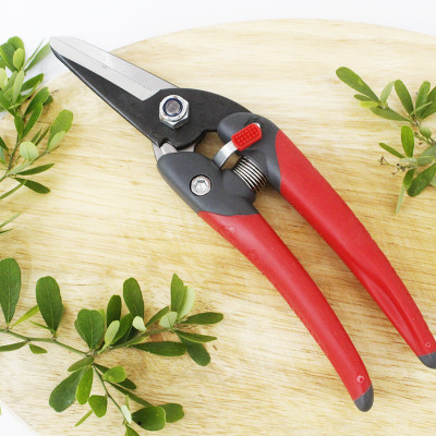 Kéo cắt cành cao cấp Nhật Bản Chikamasa JP-2000 chiều dài lưỡi 45mm - lưỡi thép carbon chất lượng cao siêu bén - cắt ngọt, không bám dính, liền sẹo nhanh