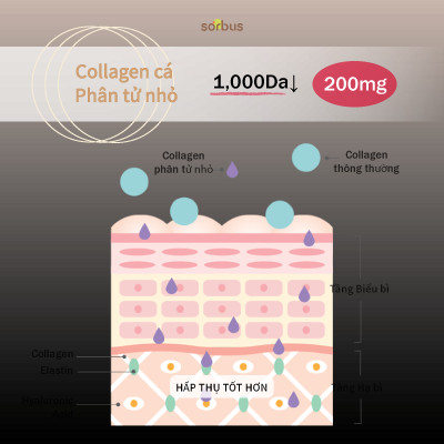 Sorbus Thạch Collagen Montmorency Tart Cherry 38.8 200mg (7 ngày)