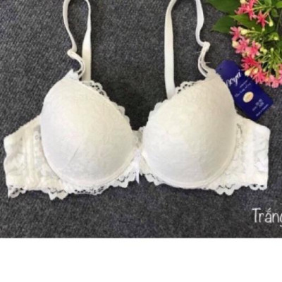 ÁO NGỰC REN MÚT ÉP VỪA-029L