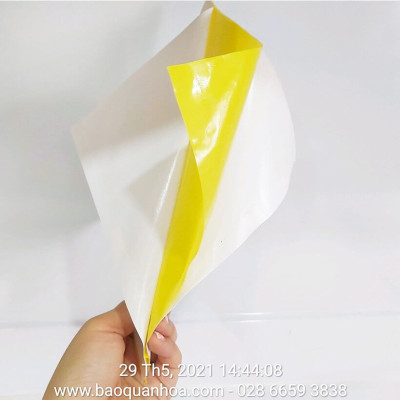 25 Miếng Bẫy Ruồi Vàng, Bẫy Côn Trùng gây hại rau sạch và cây ăn trái tại nhà nhập khẩu Israel Sticky Yellow Roll