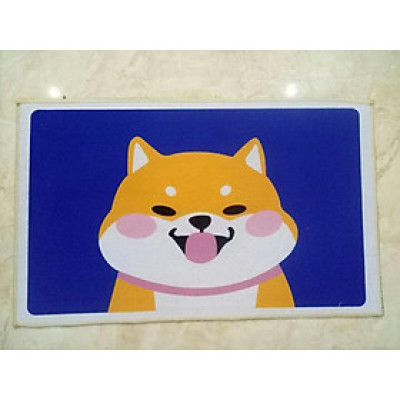 THẢM LAU CHÂN - THẢM CHÙI CHÂN 3D SIÊU THẤM thảm lau chân