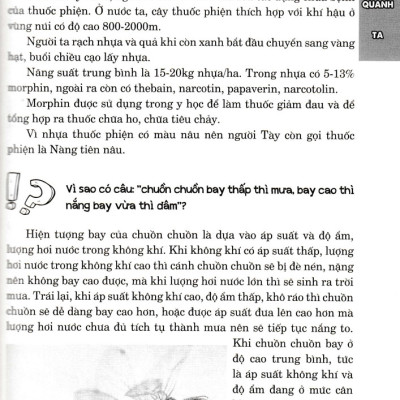 Hỏi Đáp Về Mọi Chuyện - Khoa Học Tự Nhiên, Khoa Học Xã Hội, Sức Khỏe - Đời Sống - HNB