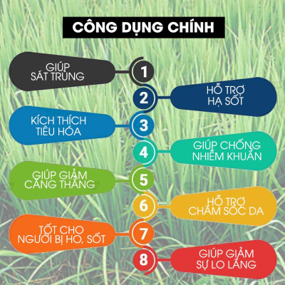 Tinh Dầu Sả Hoa Hồng Kobi Palmarosa Essential Oil Dùng Xông Phòng, Giúp Tăng Hưng Phấn, Thanh Lọc Không Khí Hiệu Quả