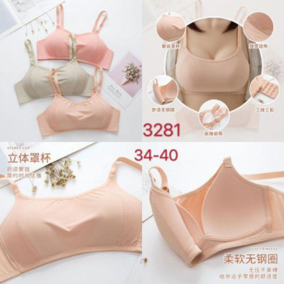 Áo lót đúc kiêm bra cao cấp 3281 (big size)
