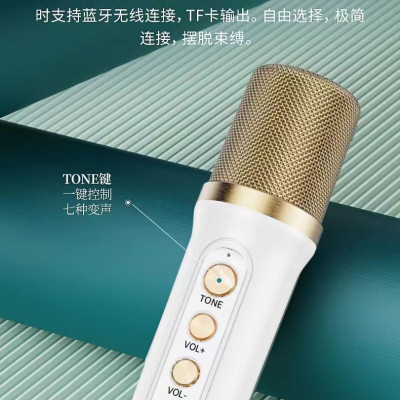 Loa Karaoke Bluetooth YS-103 Kèm 1 Micro Không Dây ( Hàng Chính Hãng )