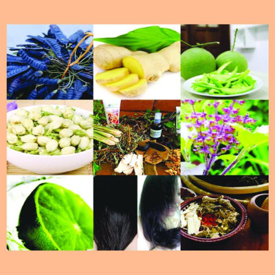 TINH CHẤT GỘI ĐẦU THẢO MỘC MẸ KEN  500ML - Kích thích mọc tóc, giảm gãy rụng, giảm gàu