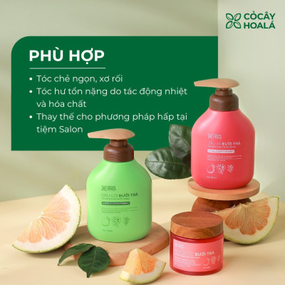Kem Ủ Tóc Bưởi Trà Cỏ Cây Hoa Lá - Bổ Sung Keratin Thủy Phân Siêu Dưỡng Phục Hồi Tóc Hư Tổn 200g