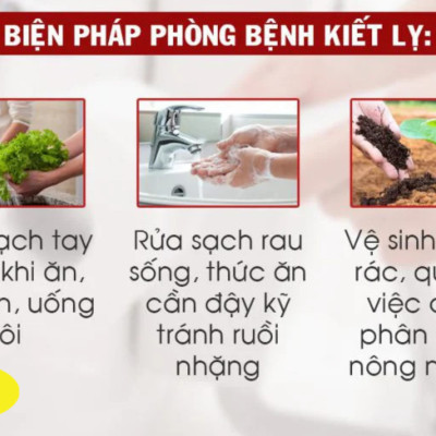 PQA Hoàng Liên là dược phẩm thảo dược có tác dụng ngăn ngừa co thắt ruột, đau bụng do lỵ dùng cho người bị rối loạn tiêu hóa, đau quặn bụng mót rặn.