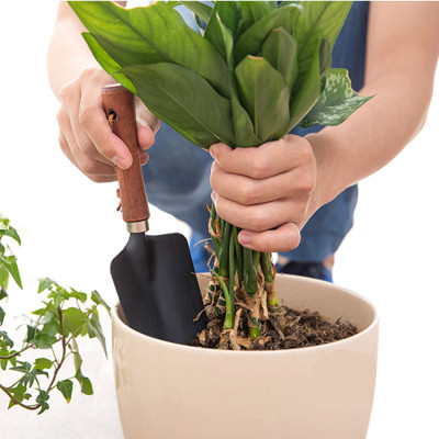 Xẻng nhỏ làm vườn Echo Metal chuyên dụng, giúp việc làm vườn trở nên dễ dàng và không tốn sức - nội địa Nhật Bản 