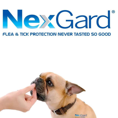 1 hộp NexGard trị ghẻ, viêm da, ve rận (chó từ 25 - 50kg, 6 viên nhai)