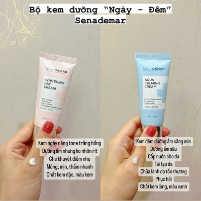Kem dưỡng mặt ban đêm SenaDemar dưỡng ẩm phục hồi 30ml hạn 2027