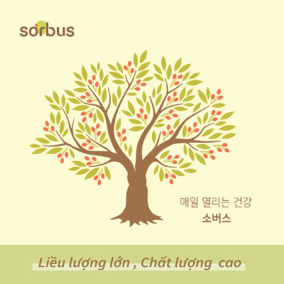 Sorbus Thạch Collagen Montmorency Tart Cherry 38.8 200mg (7 ngày)