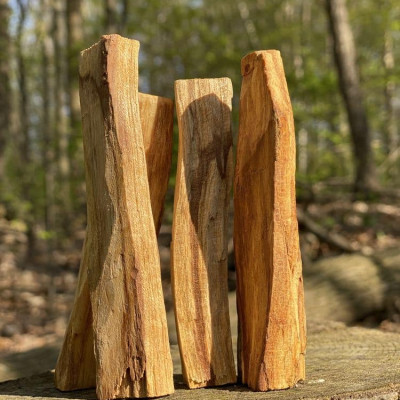 Thanh gỗ Trắc xanh- gỗ Thánh palo santo xông nhà thơm