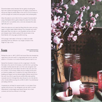 Sách - The Plain Cake Appreciation Society - 52 weeks of cake by Tilly Pamment (UK edition, Hardcover)