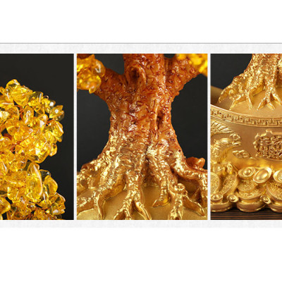 Cây kim tiền, cây tài lộc, cây phong thủy 