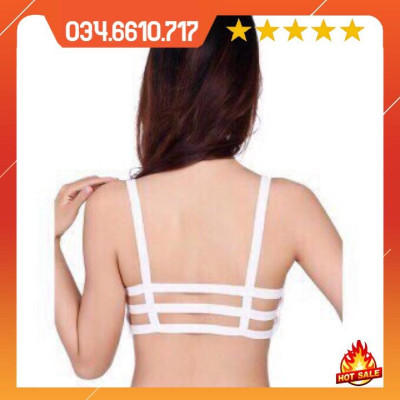 Combo 3 Áo lót 3 dây cotton - áo ngực học sinh