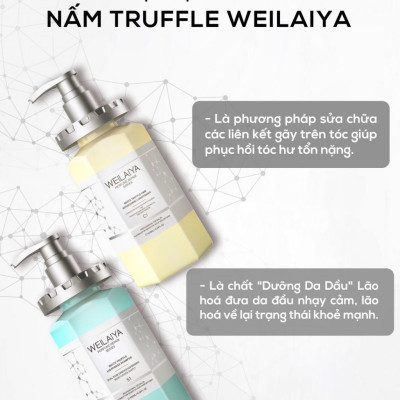 Dầu Xả Phục Hồi Đa Tầng Nấm Truffle Weilaiya - Tặng mini dầu gội gừng