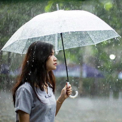 Ô  Dù Trong Suốt Che Mưa Thời Trang Chụp Ảnh Sống Ảo, Dù Chắc Chắn Độ Bền Cao