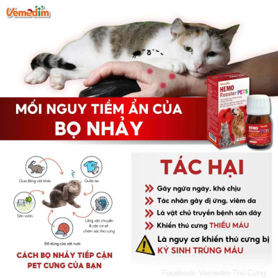 Vemedim Hemo Rooster Pets Bổ Máu, Tăng cơ, Bền sức, Nhanh Hồi phục cho Chó mèo - Hộp 50 viên