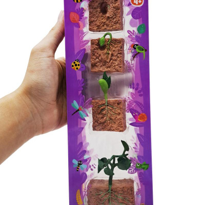 Đồ Chơi Mô Hình Vòng Đời Tự Nhiên - Hạt Mầm Lớn Lên Như Thế Nào? - Firstar DK81259
