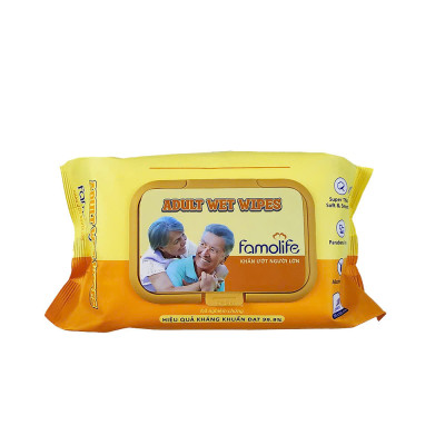 [MUA 2 TẶNG 1] COMBO 2 Khăn ướt Famolife 100 tờ không mùi mềm mịn, dưỡng ẩm vệ sinh cho người lớn