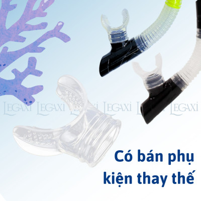 Ống Thở Bơi Lặn Biển Ngắm San Hô Đáy Biển Dã Ngoại Picnic