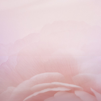 Sey 10 hộp mặt nạ làm dịu và tạo độ bóng cho da Leblanc Pink Marine Complex Calming Mask Hộp 5 miếng