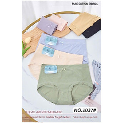 Combo 5 quần lót nữ thun trơn thông hơi 1037 — Quần lót cotton co giãn, thoáng mát, ôm vừa (5 màu)