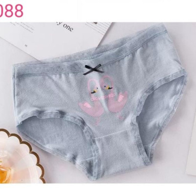 Combo 5 Quần Lót Nữ Cotton Dễ Thương 088 – Mềm Mại, Thấm Hút, Co Giãn