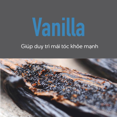 Dầu Xả Dưỡng Ẩm Goldwell KMS Moistrepair Nuôi Dưỡng Và Phục Hồi Tóc Hư Tổn Lên Tới 99%