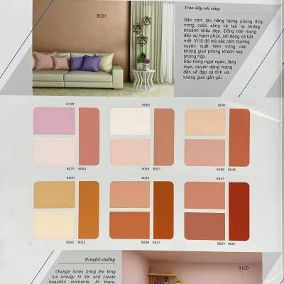 Sơn phào chỉ cho trần nhà Toa 4 Seasons Top Silk  màu D- 8253 _1L