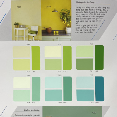 Sơn phào chỉ cho trần nhà Toa thoải mái lau chùi màu C- 7742 _1L