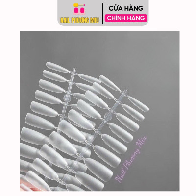Móng Úp Nhám Form Hạt Gạo Cao Cấp Hộp 240 Móng Vỉ Size S,M,L, Form Nhọn, Bầu, Hạt Gạo Tạo Kiểu Móng, Tập Làm Nail Nữ, Tiện Dụng Nail Phương Miu