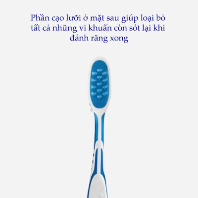 Bàn Chải Đánh Răng Dành Cho Người Hút Thuốc Trisa For Smokers