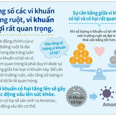 Bột Men Vi Sinh Bổ Sung Lợi Khuẩn BB536 Tốt Cho Hệ Tiêu Hóa, Tăng Sức Đề Kháng Chứa 20 Tỷ Lợi Khuẩn BB536 30 Gói x 1.5g