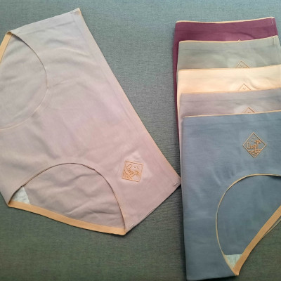 Combo 10 Quần Lót Nữ Cao Cấp O2 - Kháng Khuẩn Chống Viêm - Không Đường May - Freesize ( Màu ngẫu nhiên)