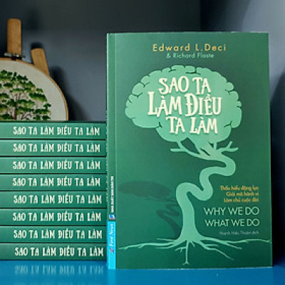 Sao Ta Làm Điều Ta Làm
